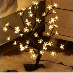 LED String Light