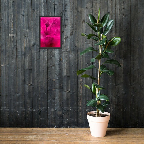 Sweet Rose Framed poster