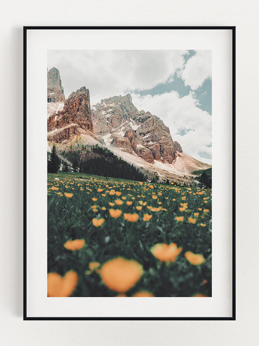 Flowers in the Mountains Poster