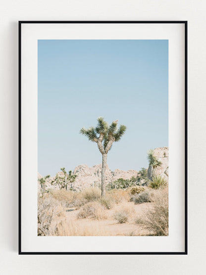 Tree in the Wild Poster