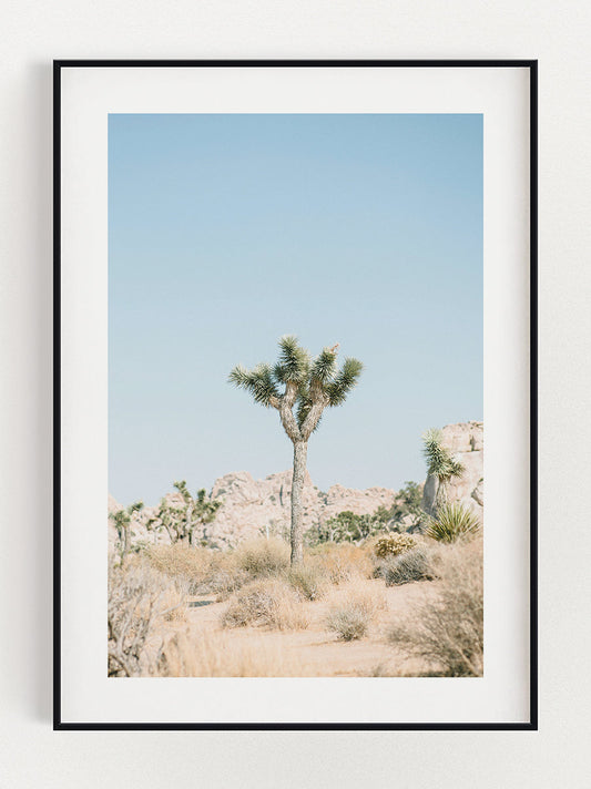 Tree in the Wild Poster