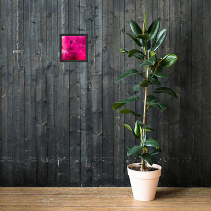 Sweet Rose Framed poster